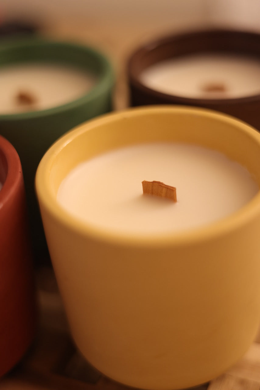 THE CERAMIC COLLECTION - CHRISTMAS EDITION