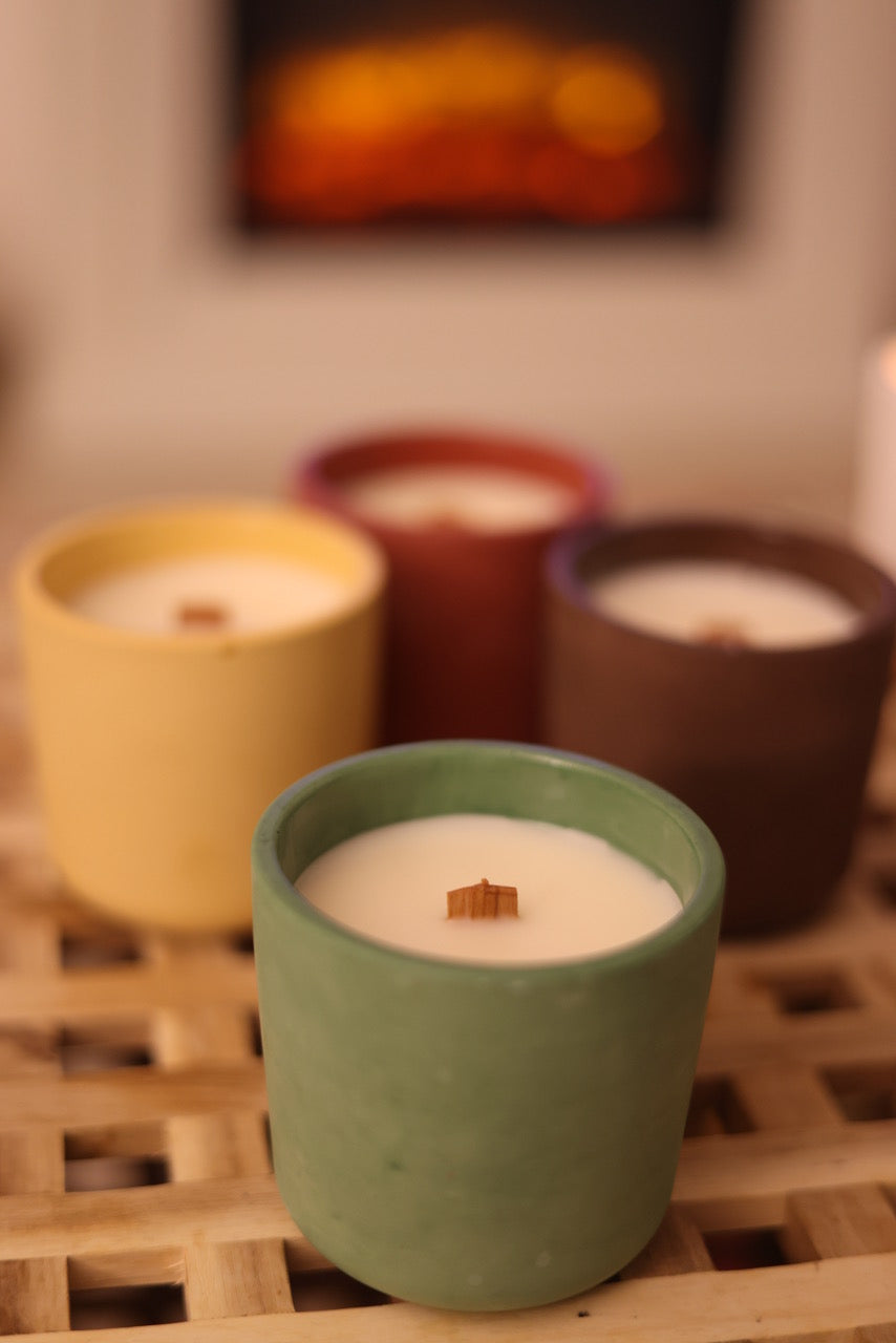 THE CERAMIC COLLECTION - CHRISTMAS EDITION
